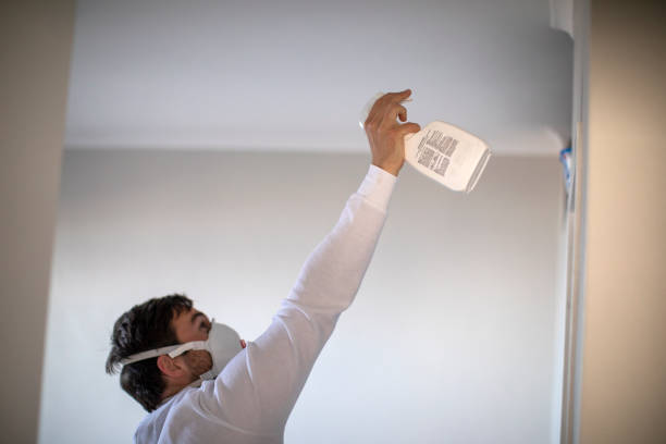 Best Emergency Mold Removal  in Vance, AL